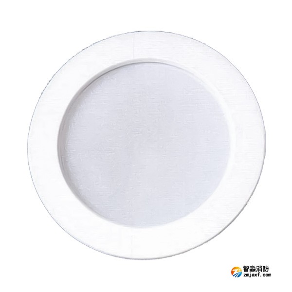 長春海灣SJ-ZFJC-E5W/ZQ5C集中電源集中控制型消防應急照明燈具 吸頂/壁掛