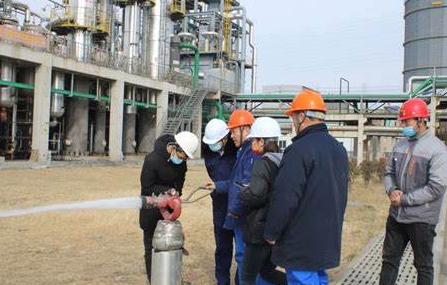 1743576136224310.png image.png